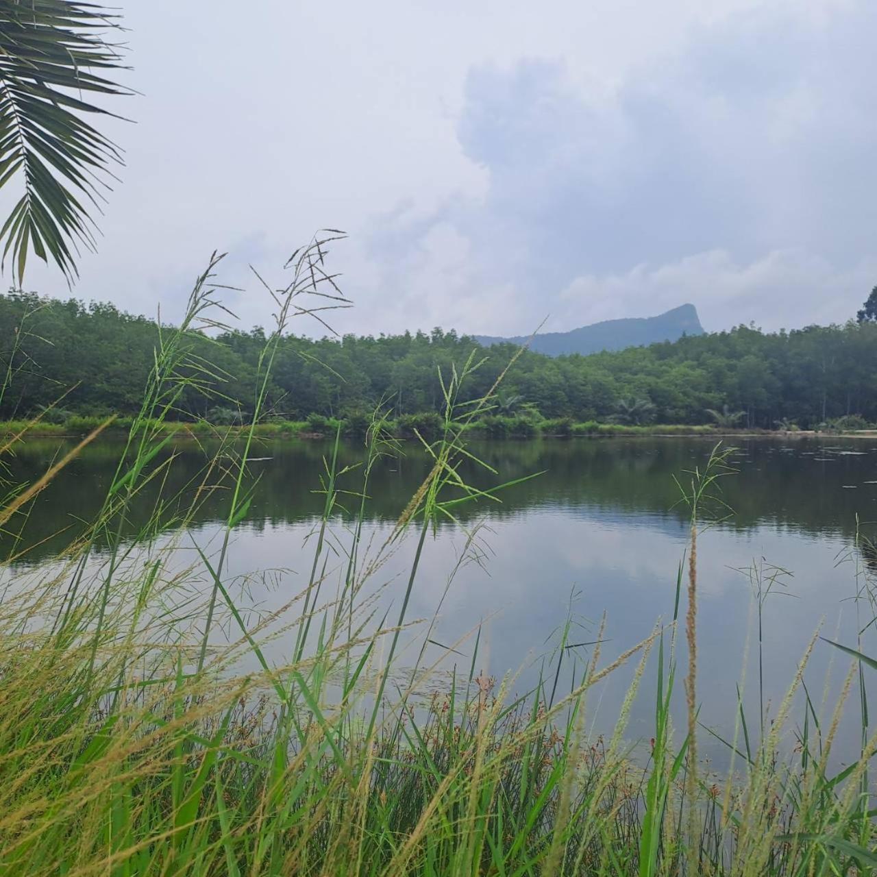 알리씨 풀빌라  Ao Nang 외부 사진